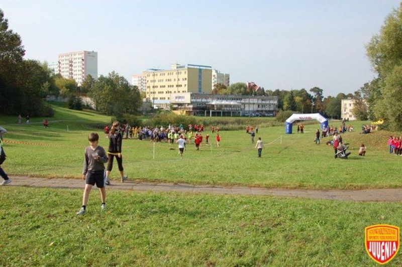 d8e18332a30b3fb5b48a7e140af76d76